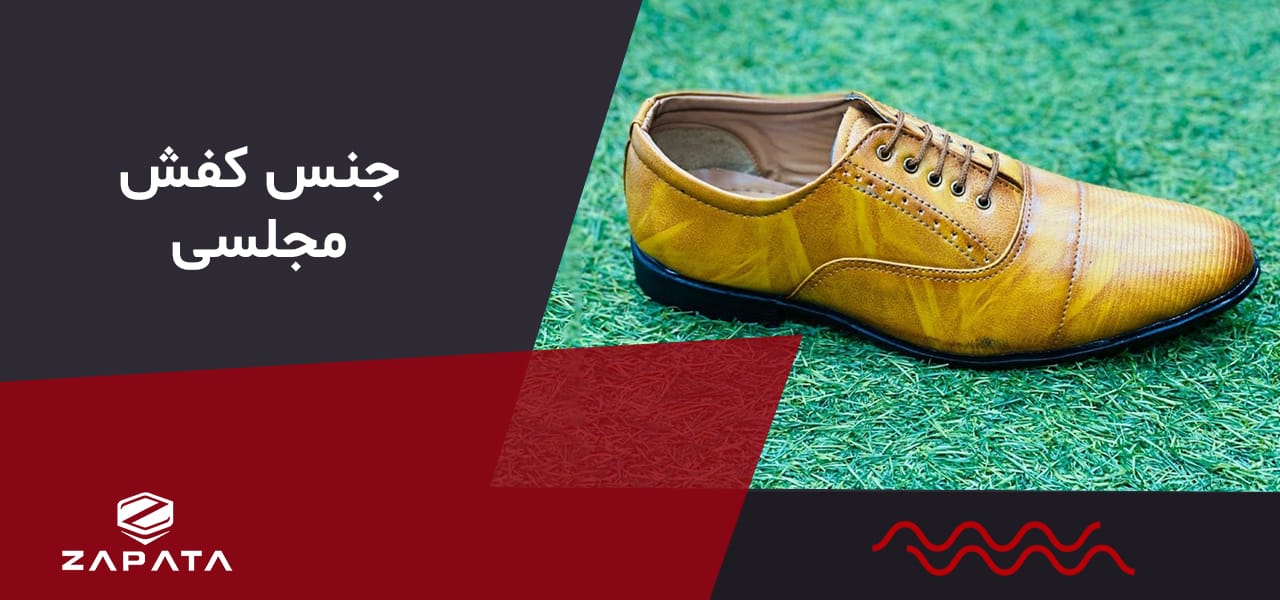 انتخاب کفش مجلسی